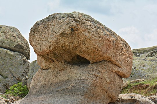 Maymun Kaya