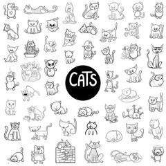 black and white cats big set