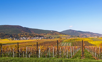 Blick über die Weinberge auf den Haardtrand