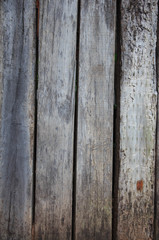 wall Old wood rail track