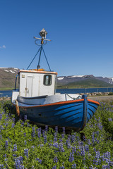 Fototapeta na wymiar Old Boat on land in Thingeyri Iceland