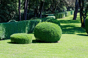 Jardin à la française
