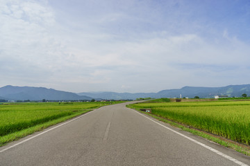 夏の六日町の田園風景