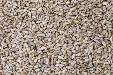 the texture of peeled seeds of sunflower 