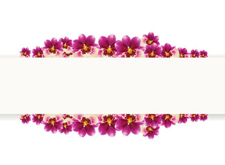 Fototapeta na wymiar Vector. Orchid flowers around blank text rectangle. Text template banner. Miltonia or miltonopsis orchid flowers done with mesh.