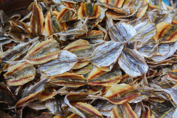 dried squid in banpea market for sale