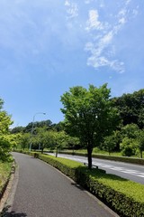 Fototapeta na wymiar 初夏の散歩