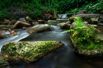 Naklejka na ściany i meble The little river in rainforest.It was took by long exposure.