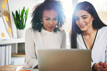 Successful dedicated young businesswomen