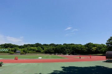 初夏の散歩