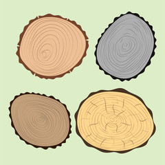 Wood slice texture tree circle cut raw material set detail plant years history textured rough forest vector illustration.