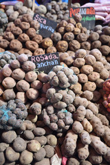 Pommes de terre au marché indien à Arequipa au Pérou