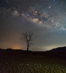 Obraz na płótnie Canvas Beautiful Night Starry sky with Rising Milky Way over the dead tree, Thailand