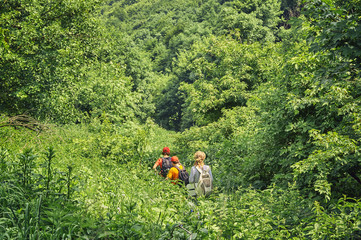 Family of hikers walking through the high wild grass in the mountain forest   