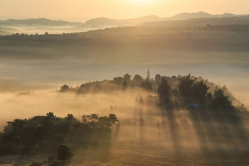 Landscape misty panorama. Fantastic dreamy sunrise on the mountains with view into misty valley below. Foggy clouds above forrest. View below to fairy landscape. Foggy forest hills.
