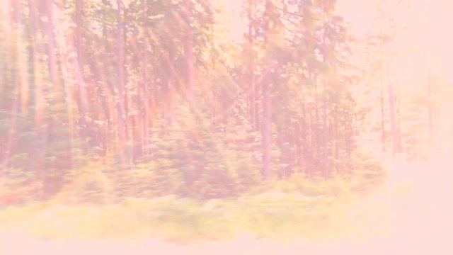 Car side view summer forest motion blur background