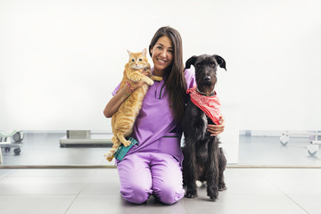 Cheerful women veterinary holding a yellow cat and dog.