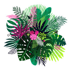 Exotic bouquet of tropical plants, palm leaves and flowers on a white background. Vector botanical illustration, design elements.