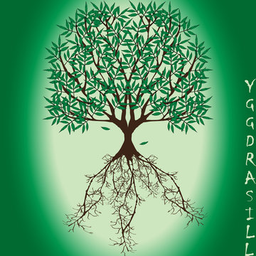 Yggdrasil – vector World tree from Scandinavian mythology. Ash Yggdrasill with green leaves and deep-reaching roots is a symbol of the universe