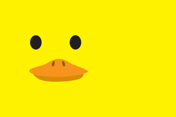 Cute duck head