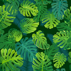 Tropical palm and monstera leaves, jungle leaf seamless vector floral pattern background.