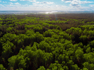 Panorama aerial view shot on cottage village in forest, suburb, village.