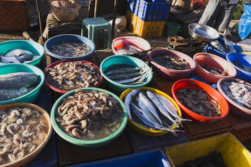 Market in Goa selling and buying fresh fish in ice packs