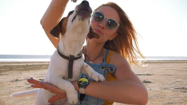 young stylish hipster playing dog puppy jack russell on the beach, slow motion