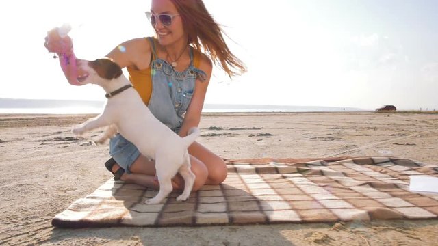 young stylish hipster playing dog puppy jack russell on the beach, slow motion