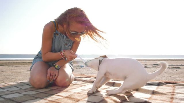 young stylish hipster playing dog puppy jack russell on the beach, slow motion