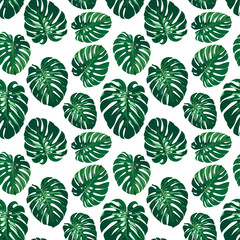 Seamless monstera palm leaves pattern for your summer background. Vector tropical exotic illustration