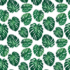 Seamless monstera palm leaves pattern for your summer background. Vector tropical exotic illustration © karachenkov