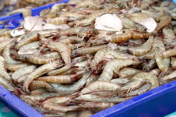 fresh shrimp at the market