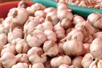 garlic at the market
