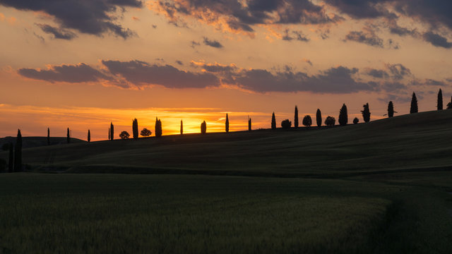 Sonnenuntergang in der Toskana mit Zypressen