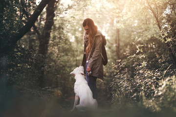 Junge Frau mit jungem labrador retriever hund welpen im wald bei sonnenuntergang