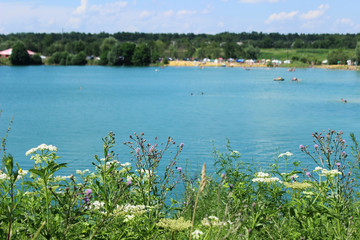 Blue Lake, summer flowers, sandy beach in clear weather
