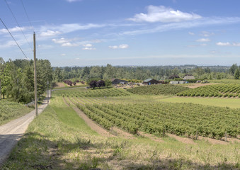 Fototapeta na wymiar Country road and farms Oregon state.