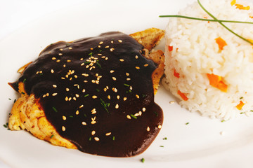 mole poblano is a mexican mole