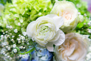 beautiful white rose flowers made with color filters