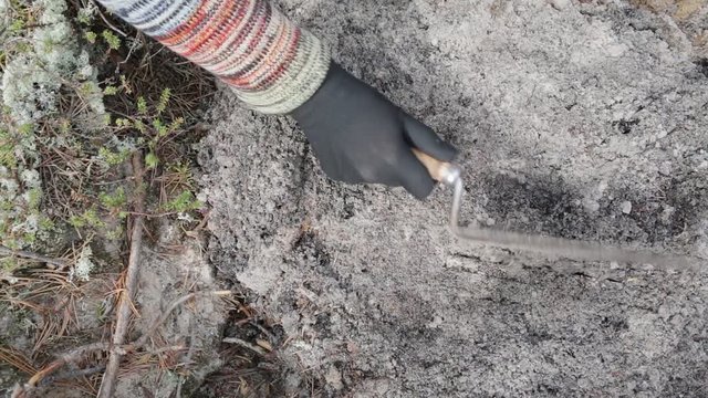 Stage of archaeological work - detection finds