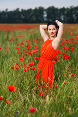 Naklejka na ściany i meble the girl in the red dress in field of poppies