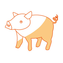 Pig farm animal