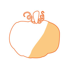 fresh pumpkin vegetable