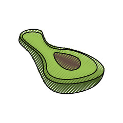Delicious avocado vegetable