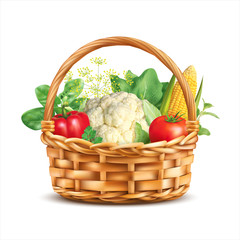 Basket with vegetables and fresh herbs. Vector illustration.
