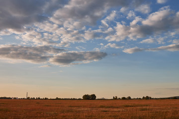Landscape with green and yellow grass with beautiful clouds in the background on a bright sunny day