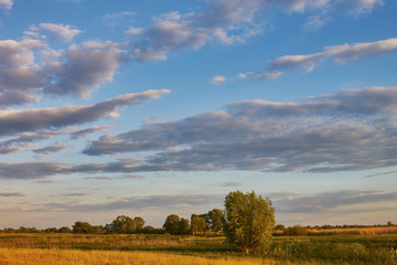 Landscape with green and yellow grass with beautiful clouds in the background on a bright sunny day