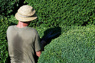 Jardinier paysagiste