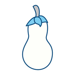 Fressh eggplant vegetable